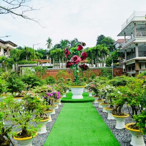 Joe's Bougainvillea Hall